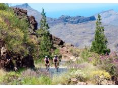 Dem Winter entfliehen: Radtouren auf Gran Canaria